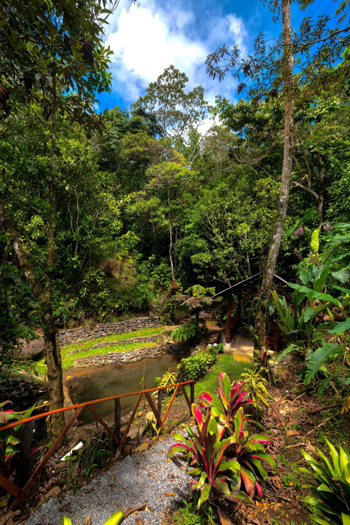 Vista Turrialba Lodge Eksteriør billede